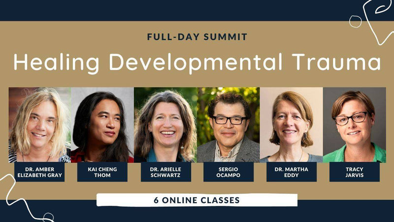 Summit: Healing Developmental Trauma
