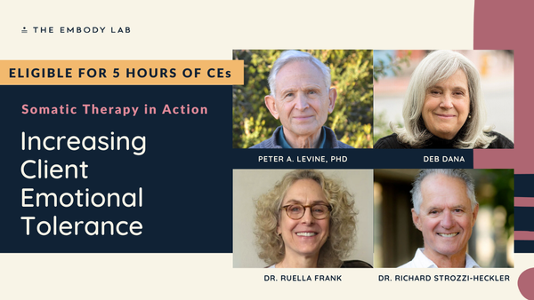 Increasing Client Emotional Tolerance