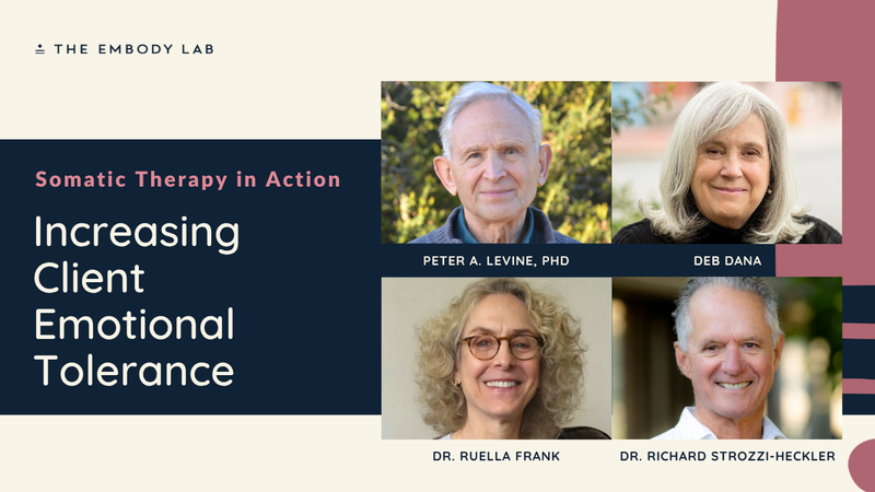 Increasing Client Emotional Tolerance