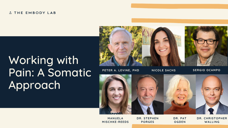 Working with Pain: A Somatic Approach