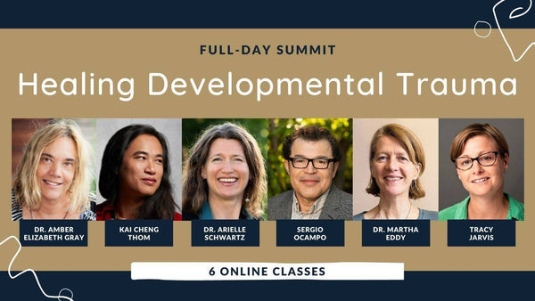 Summit: Healing Developmental Trauma