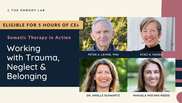 Working with Trauma, Neglect & Belonging