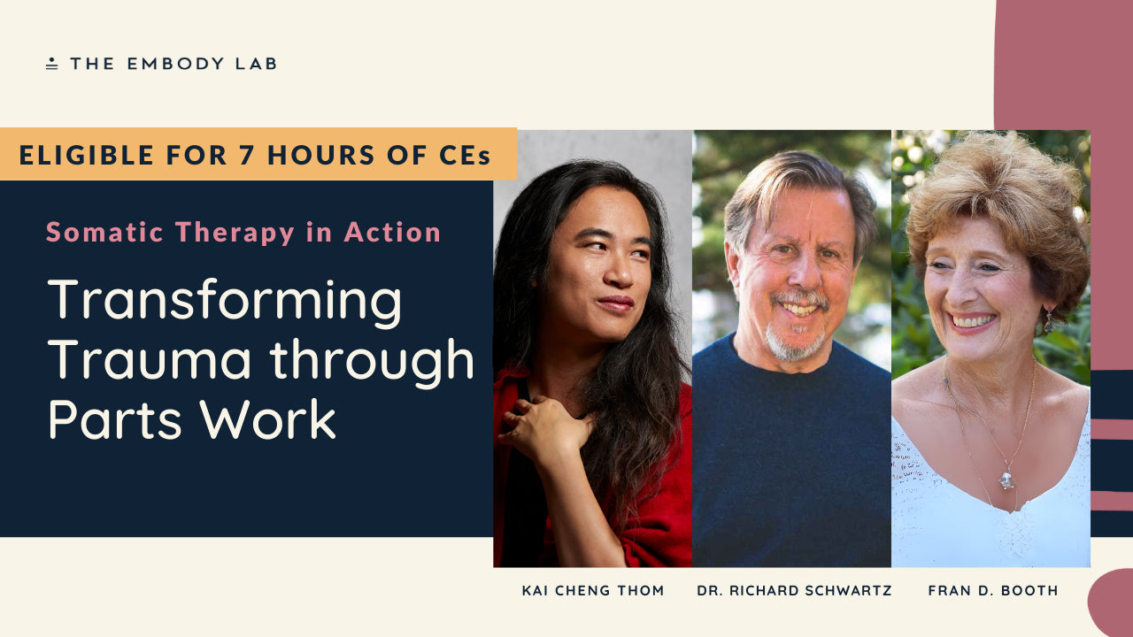 Transforming Trauma through Parts Work.