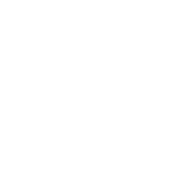 Ergos Institute