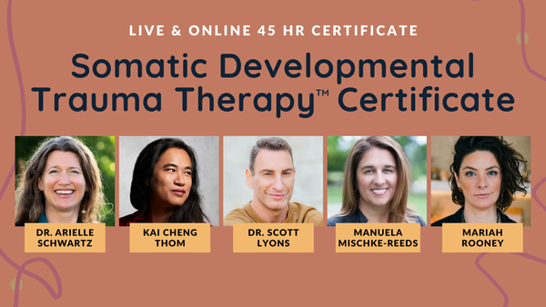 Somatic Developmental Trauma Therapy™ Certificate