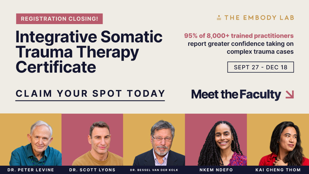 Integrative Somatic Trauma Therapy Certificate