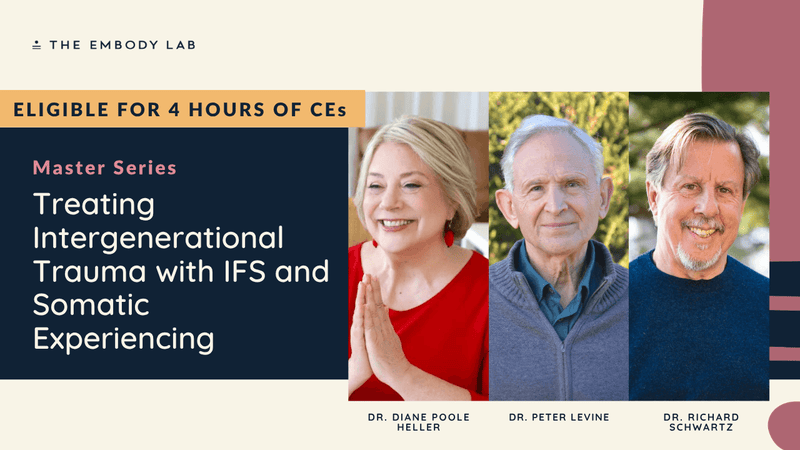Master Series - Treating Intergenerational Trauma with IFS and Somatic Experiencing