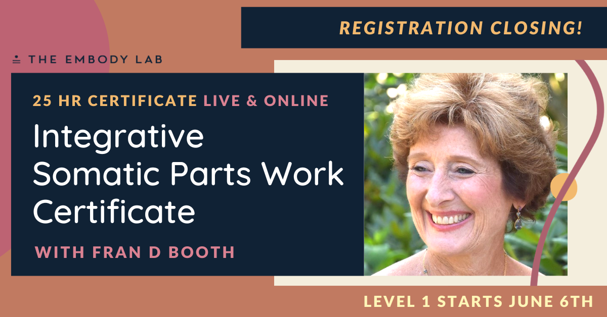 Integrative Somatic Parts Work Certificate