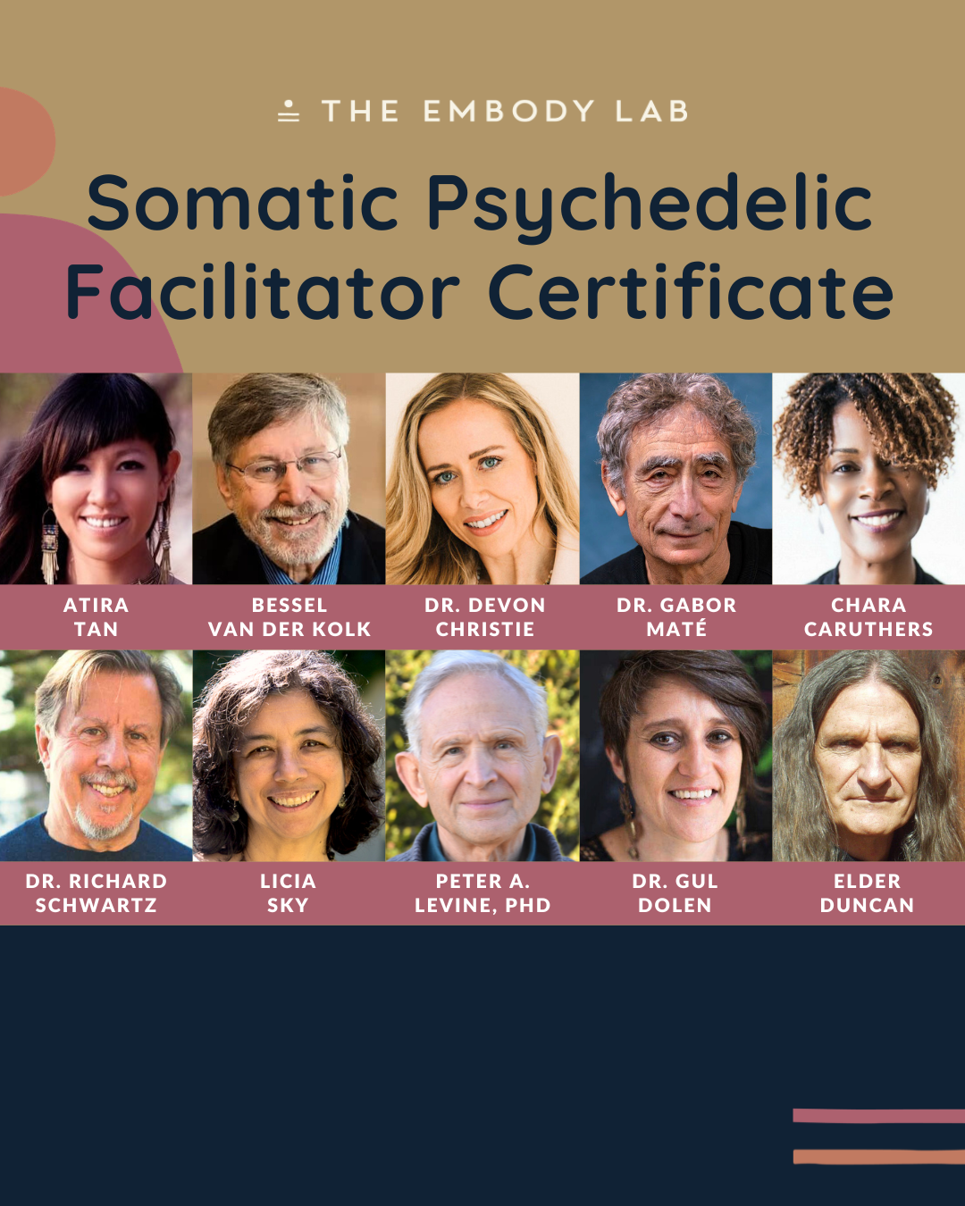Somatic Psychedelic Facilitator Certificate