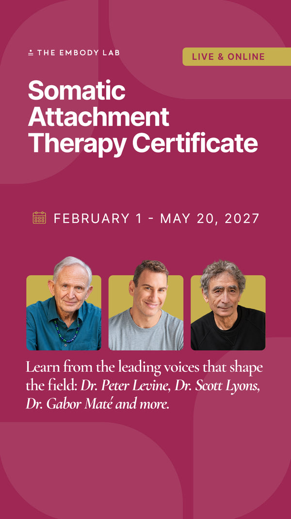 Somatic Attachment Therapy Certificate