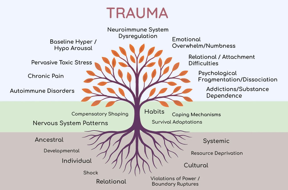 Why Somatic Trauma Therapy