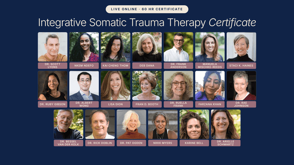 Integrative Somatic Trauma Therapy Certificate