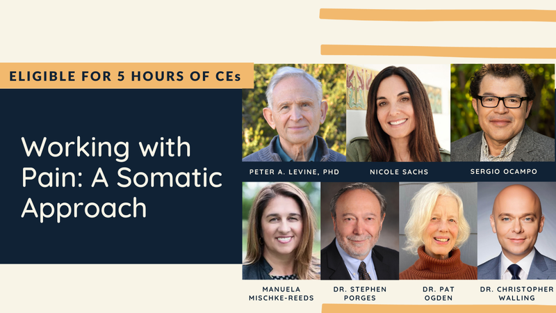 Working with Pain: A Somatic Approach